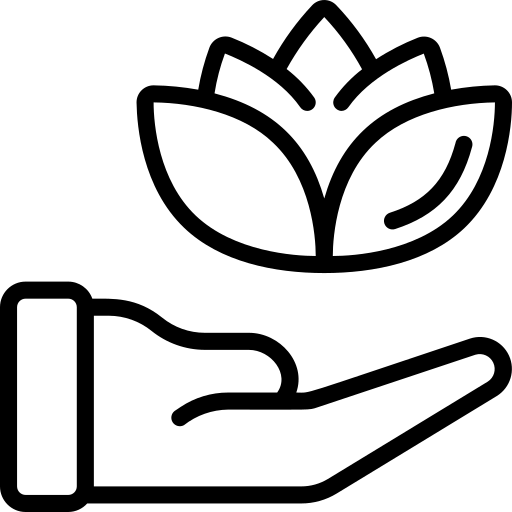 Icon main
